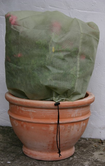 Vorstvrije Beschermingshoes voor Planten Small,  4 Stuks Verpakking